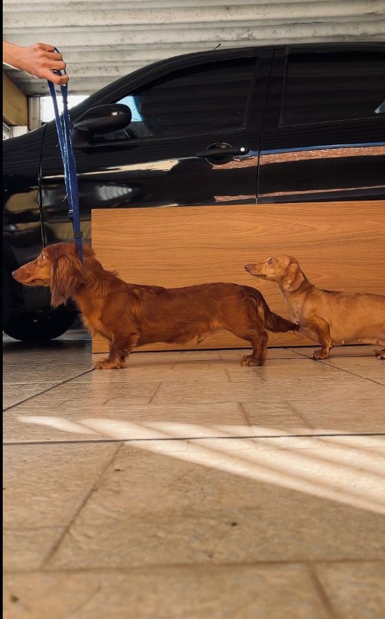 Peter e Lia lado a lado na guia